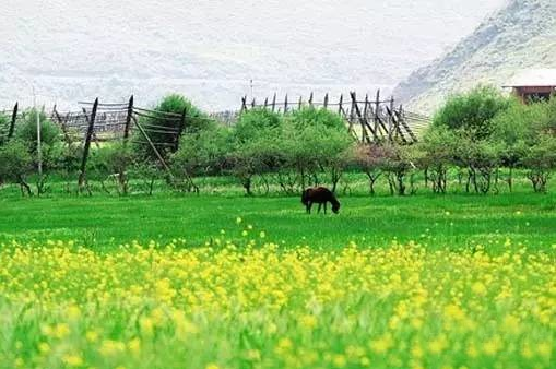 微信截圖_20170621100645