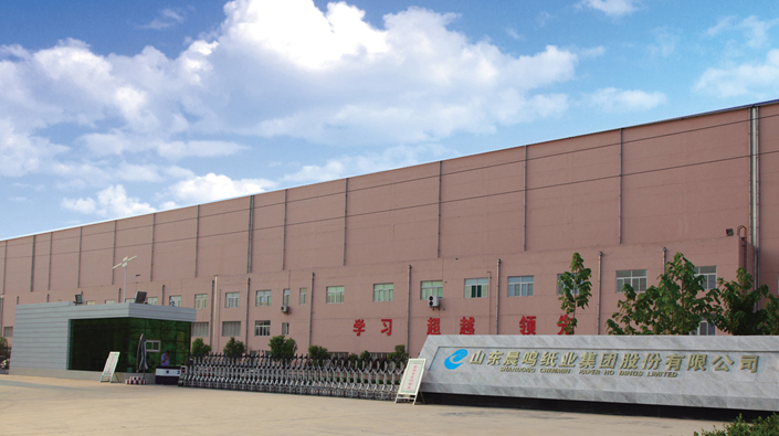 晨鳴紙業集團股份有限公司-工業照明